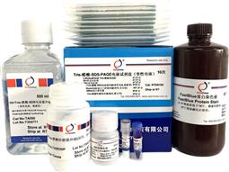 Tris-醋酸-SDS-PAGE電泳試劑盒（變性電泳，含預制膠）