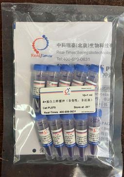 4×蛋白上樣緩沖（非變性，非還原）
