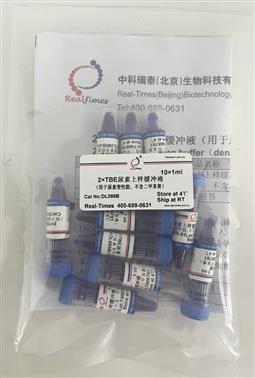 2×TBE尿素上樣緩沖液（用于尿素變性膠，不含二甲苯菁）
